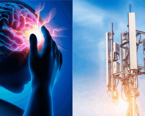 CELLULAR ANTENNAS - protect