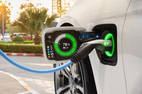 ELECTRIC CAR/HYBRID - Plaque for Harmonizing the Driver and Passengers